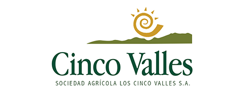 Cinco Valles